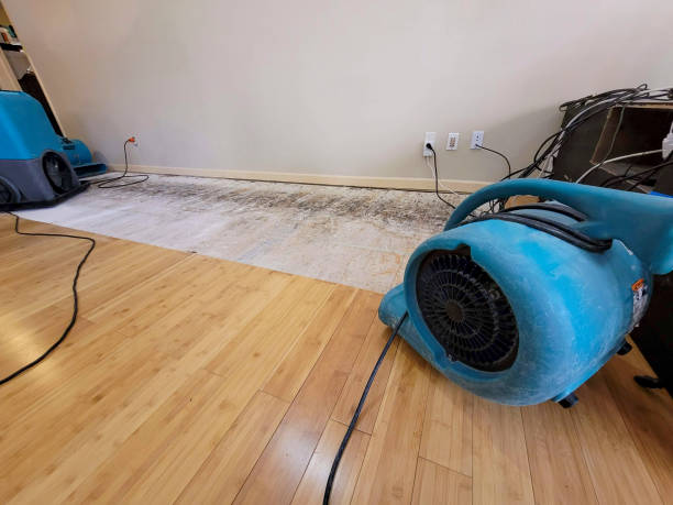 Professional Water Removal technician working in Stantonville, TN